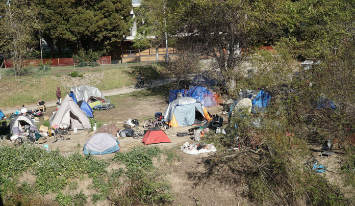 City of Santa Cruz Sees Homelessness Drop; County Sees Uptick Overview of homeless camp in Santa Cruz