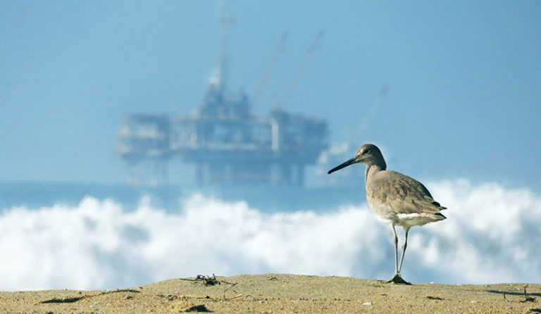 Saving the Coast —Again