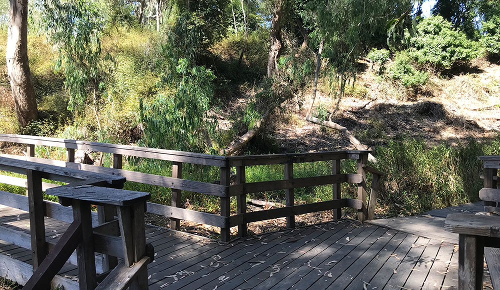 Wooden bridge in a forest