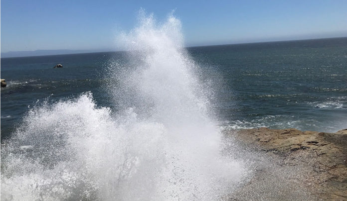 A Santa Cruz Thing: Santa Cruz Wharf to Natural Bridges Hike Wave crashing into the shore with spray flying into the air