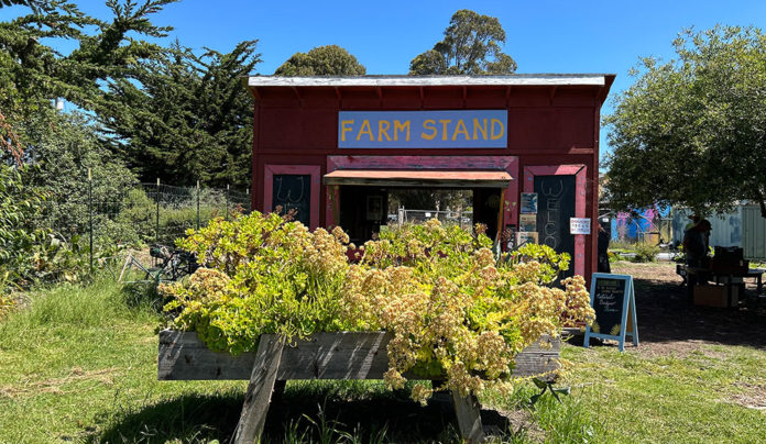 Shelter From The Storm The Homeless Garden Project Farm Stand
