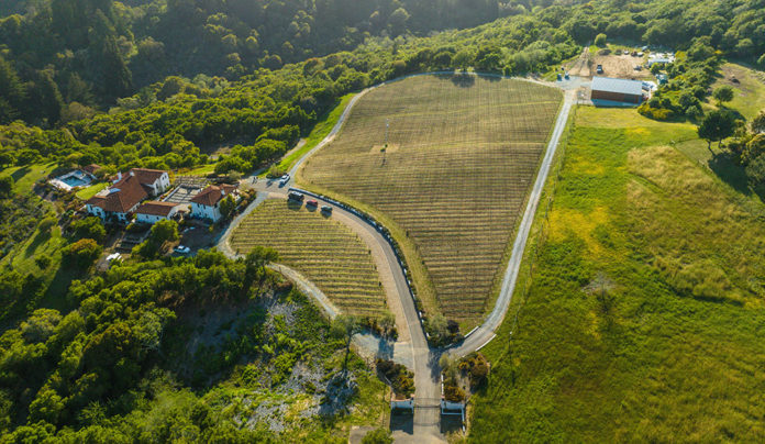 Ripe Development Rosscienda Vineyards