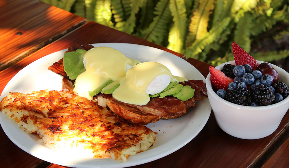 Eggs Benedict with hash browns