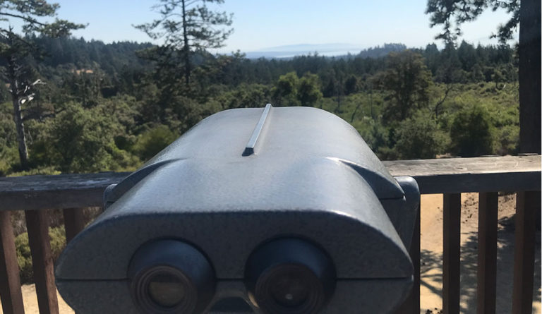 Henry Cowell Observation Deck Loop Trail