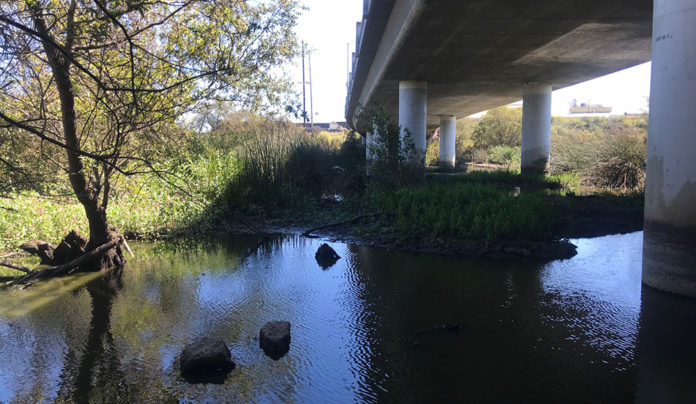 Take a Hike: The Watsonville Wetlands River underneath a bridge