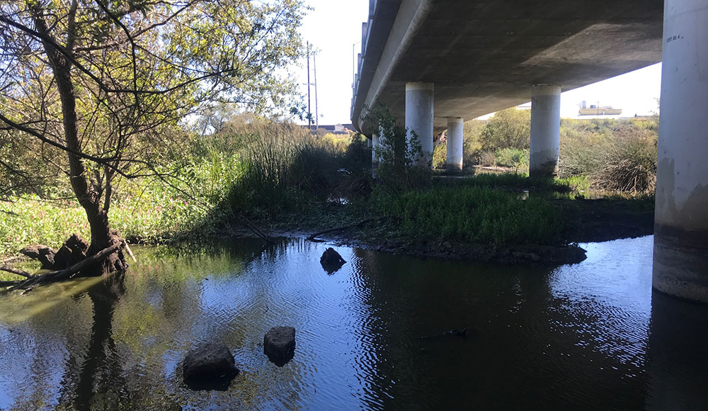 River underneath a bridge