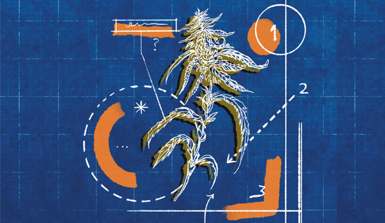 No Blueprint