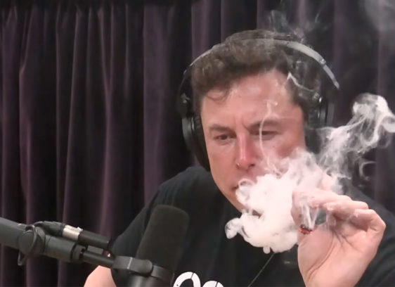 Bad Gateway Elon Musk takes a hit