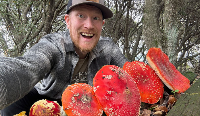 Mycelium Magic Wellness mushrooms mycelium photo