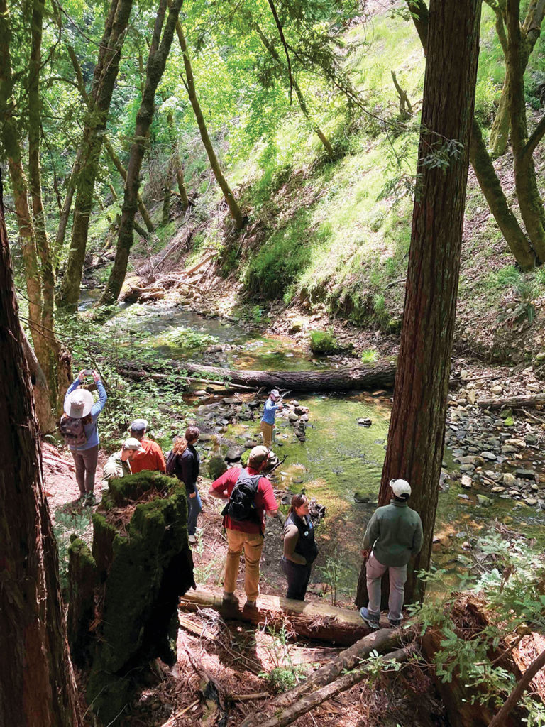 salmon cover story photo