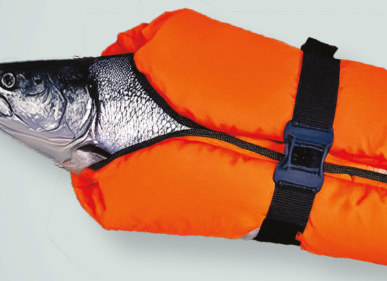 Go Fish Cover story image of a fish in a life jacket