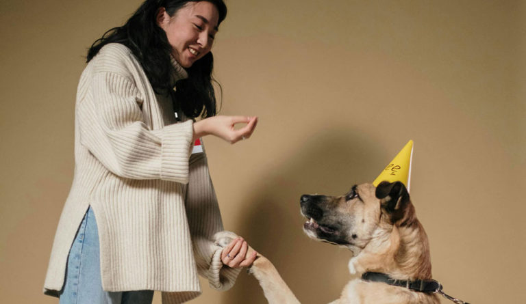 How Much Does Owning a Dog in Santa Cruz Cost?