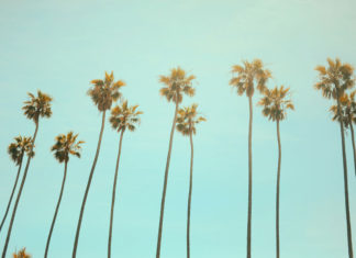 How Far Are We From the Legalization of Online Gambling In California? Online gambling legislation