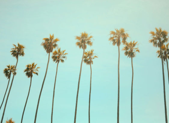 How Far Are We From the Legalization of Online Gambling In California? Online gambling legislation