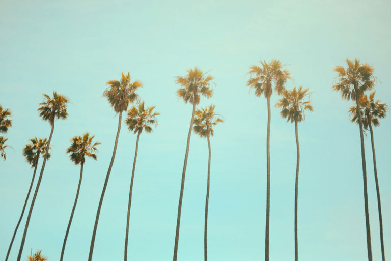 How Far Are We From the Legalization of Online Gambling In California?