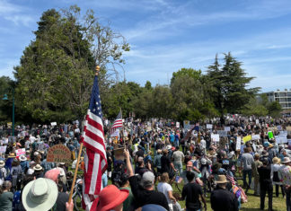 Why We Protest