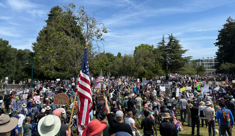 Why We Protest