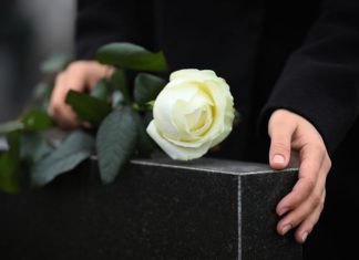 There In Spirit opinion piece photo of a rose