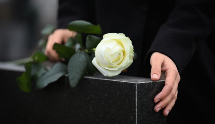 There In Spirit opinion piece photo of a rose