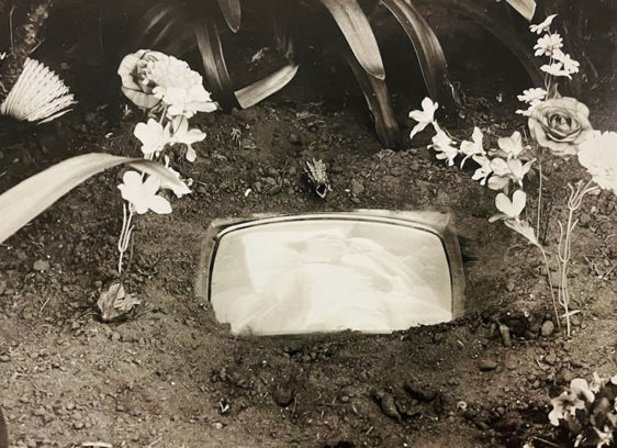 Village People Capitola essay photo