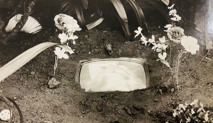 Village People Capitola essay photo