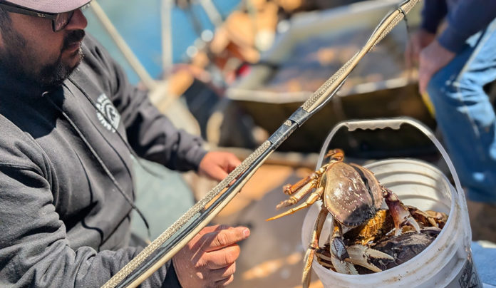 Clawing Back dining review photo of a live crab