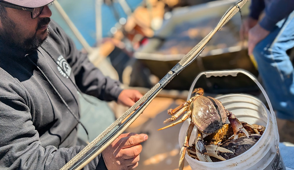 dining review photo of a live crab