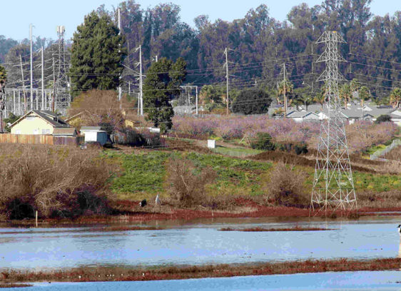 Residents Oppose New Battery Storage Facilities Lagoon area with power poles and housing alongside