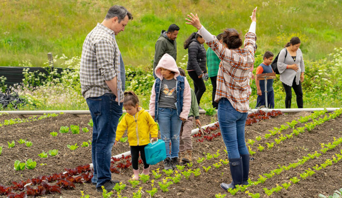 Back to the Land adults and kids stand between row of flowers at a flower farm
