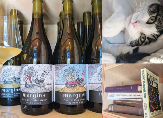 ¡Vino Victory! Wine bottles