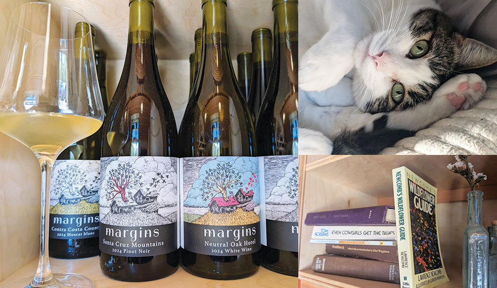 Wine bottles