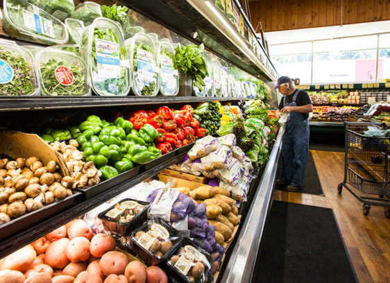 Stem Skills Produce section of Grocery