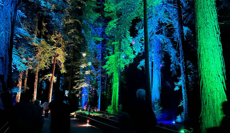Roaring Camp Offering Colorful Night Strolls