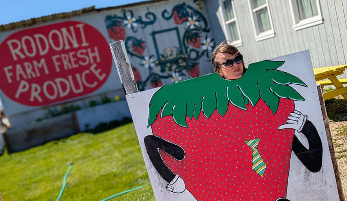 Much to Munch strawberry cut outs make for for fun photos.