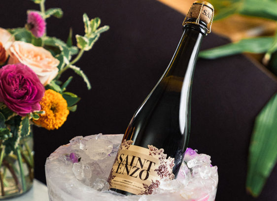 Shining Sparkler vine and dine St Enzo Lambrusco