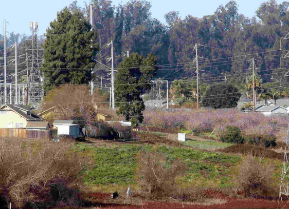 Higher Standards site of a proposed battery storage facility on Minto Road in Watsonville
