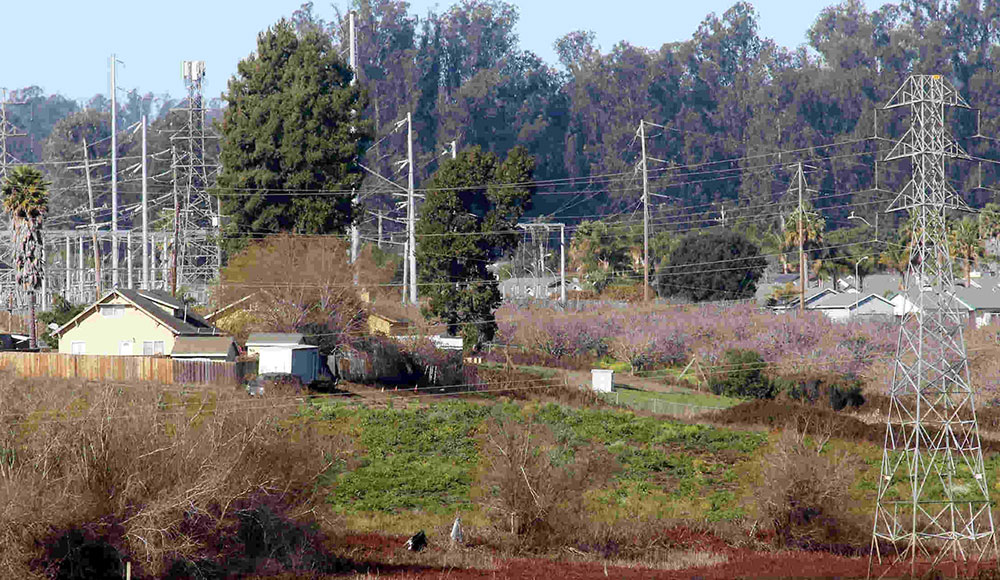 site of a proposed battery storage facility on Minto Road in Watsonville