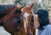 Nashville Abounds Singer Nicki Bluhm stands closely with two horses, touching foreheads in a peaceful outdoor setting.