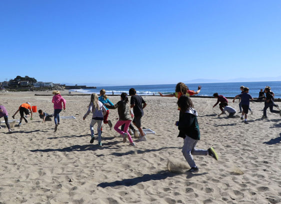 Give a Hoot A group of children run and play across a sunny beach, with the ocean waves rolling in behind them on a clear blue-sky day.