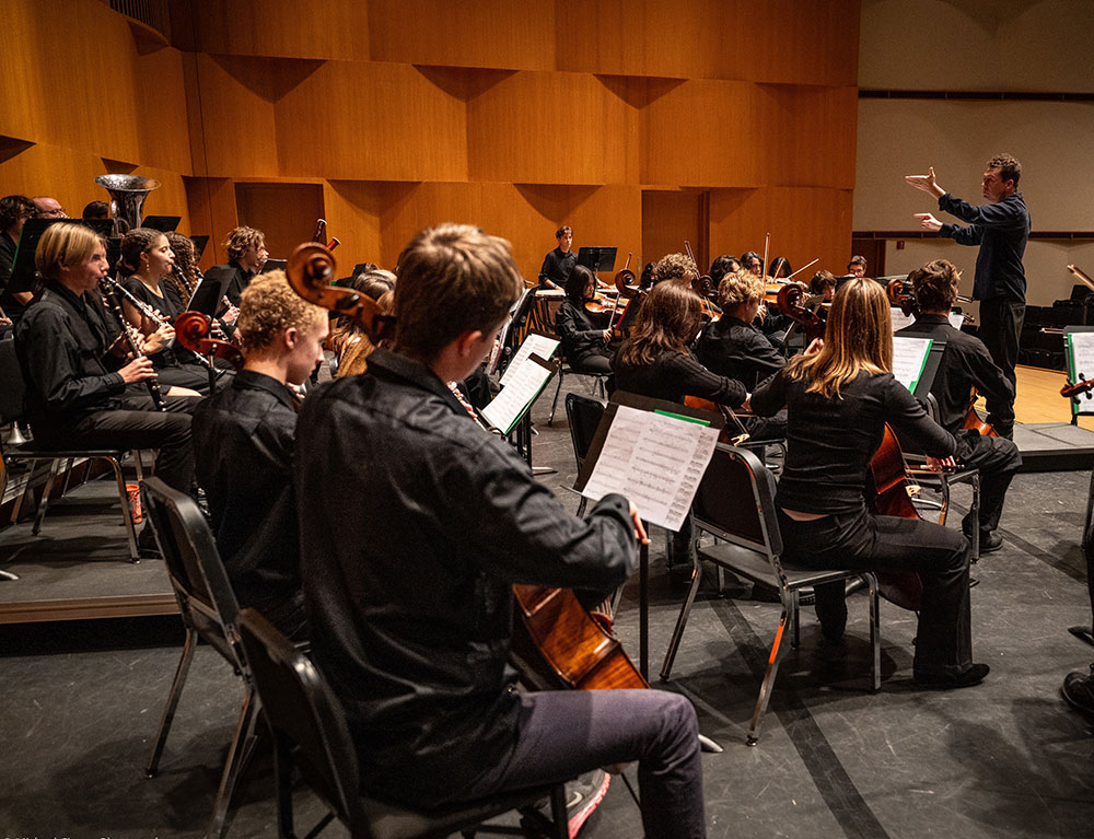 Orchestra musicians rehearsing