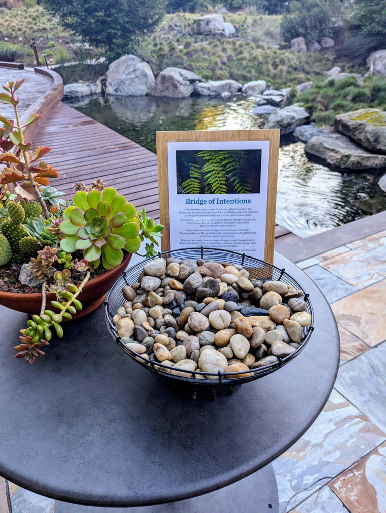 Patio with pond and plants