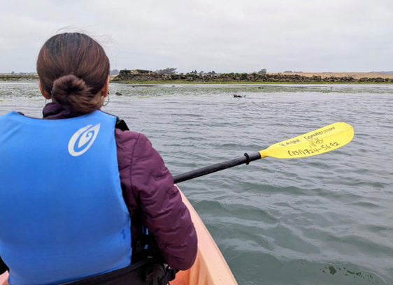 For the Holidays, Give Friends a Truly Local Experience Person kayaking in a lagoon, shot from behind