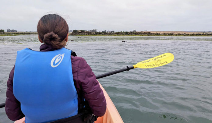 For the Holidays, Give Friends a Truly Local Experience Person kayaking in a lagoon, shot from behind