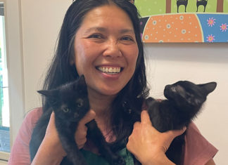 Breaking the Cycle Planned Pethood executive director Ng Trinh-Halperin smiles while holding two black kittens at the Santa Cruz County Animal Shelter.