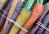 City Centered Bundles of multicolored carrots tied together at the Downtown Santa Cruz farmers market.