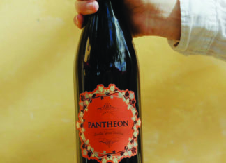 Cranberry & Clove A bottle of Demetria Estate’s 2023 Pantheon red wine held against a warm background