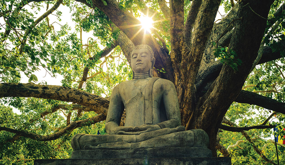 Stone Buddha statue seated beneath a large tree with sunlight filtering through the branches