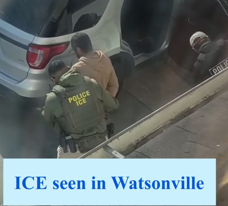 ICE agents detain man in Watsonville