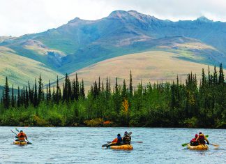 Banff at 50 Kayakers paddle through a remote Alaskan river during Arctic Alchemy.