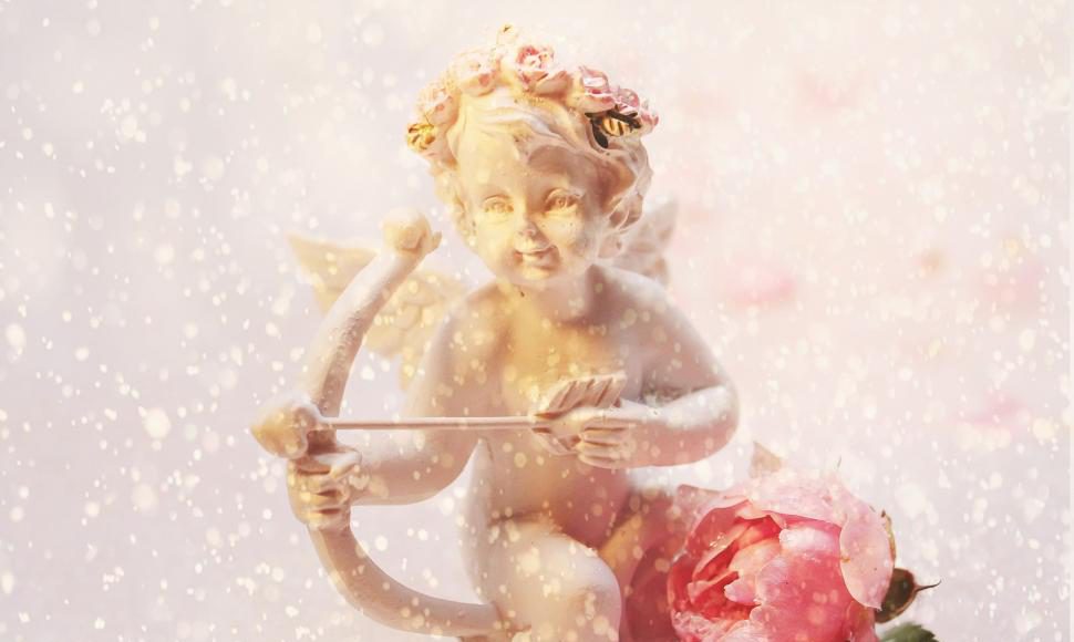 Photo by pixel2013 from Freerange Stock